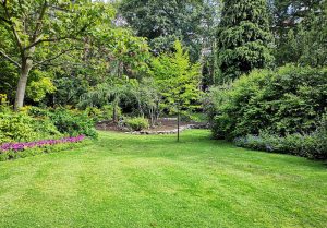 Optimiser l'expérience du jardin à Prignac-en-Medoc